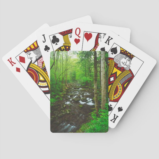 Jeu De Cartes Les Grandes Montagnes fumées (dos)