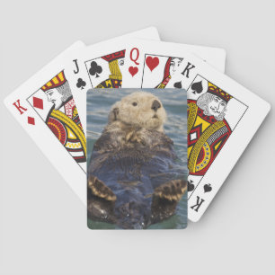 Jeu De Cartes Les loutres de mer jouent sur les icebergs à Surpr