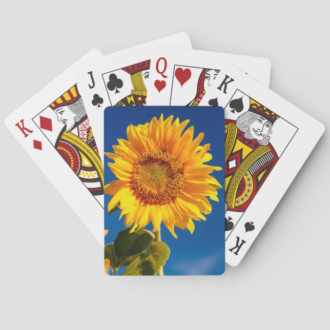 Jeu De Cartes Les meilleures photos de tournesol de Hardy jaune (dos)