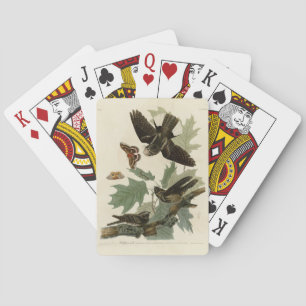 Jeu De Cartes Les oiseaux d'Amérique d'Audubon
