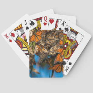 Jeu De Cartes Les papillons monarques migrateurs s'accrochent au
