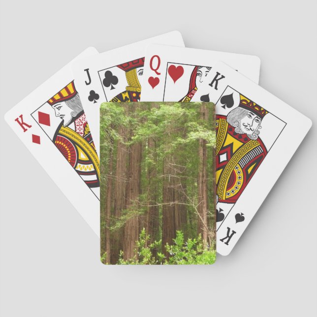 Jeu De Cartes Les séquoias au monument national de Muir Woods (dos)