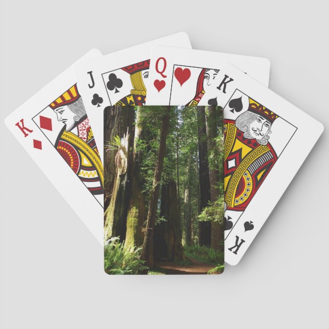 Jeu De Cartes Les séquoias et les fougères du parc national Redw (dos)