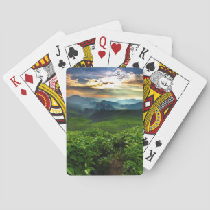 Jeu De Cartes Lever de soleil au-dessus de ferme de thé