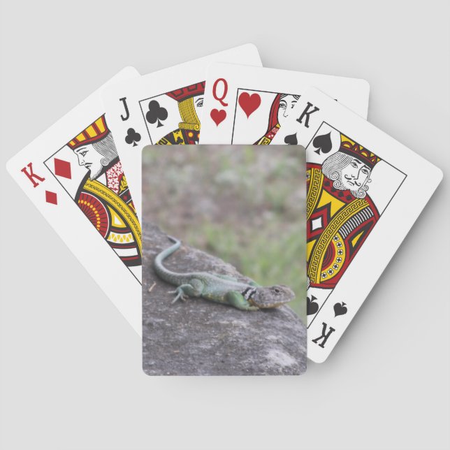 Jeu De Cartes Lézard (dos)