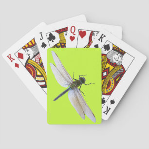 Jeu De Cartes libellule