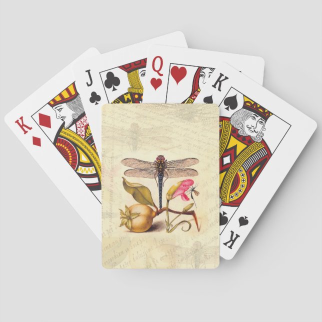 Jeu De Cartes Libellule Botanique Nature Faune Hoefnagel Art (dos)