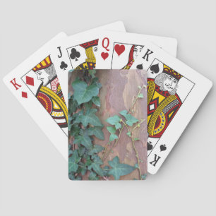 Jeu De Cartes lierre sur arbre