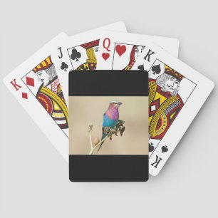 Jeu De Cartes Lilac Roller à poitrine