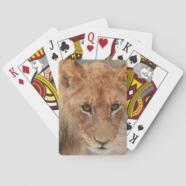 Jeu De Cartes Lion Cub (dos)