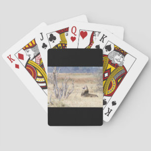 Jeu De Cartes Lion de Yawning