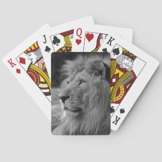 Jeu De Cartes Lion noir et blanc - Animal sauvage