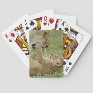 Jeu De Cartes Lionceau Jouant