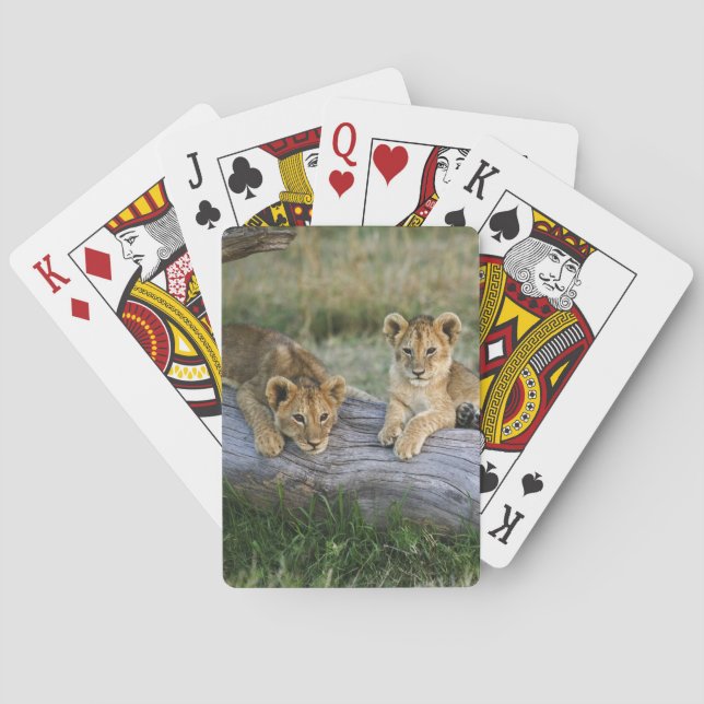 Jeu De Cartes Lionceaux sur une bûche (dos)