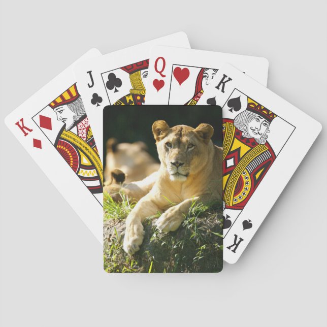 Jeu De Cartes Lions (dos)