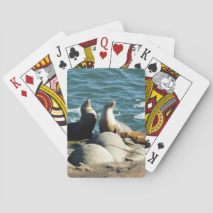 Jeu De Cartes Lions de la mer de San Diego