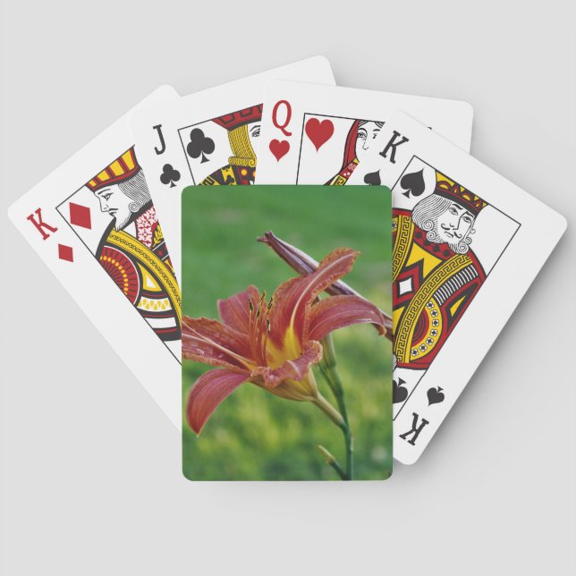 Jeu De Cartes Lis tigrés (dos)