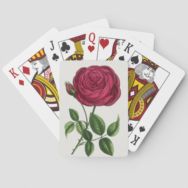 Jeu De Cartes Lithographie de rose antique, François-Frédéric Gr (dos)