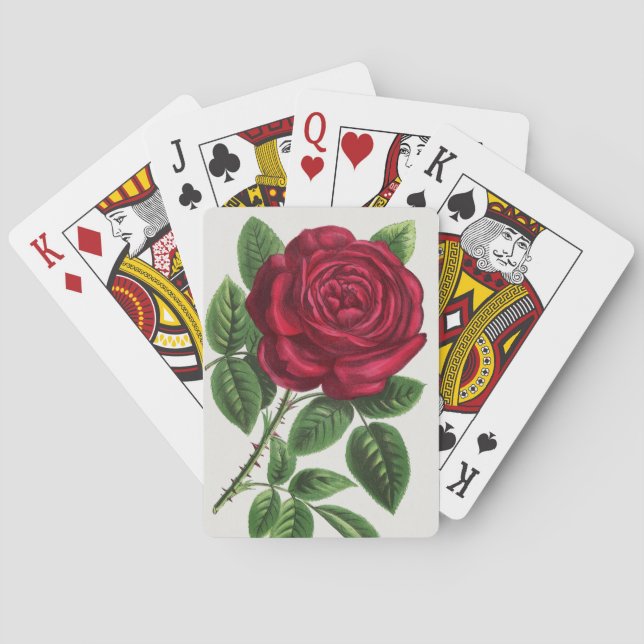 Jeu De Cartes Lithographie de rose antique, François-Frédéric Gr (dos)
