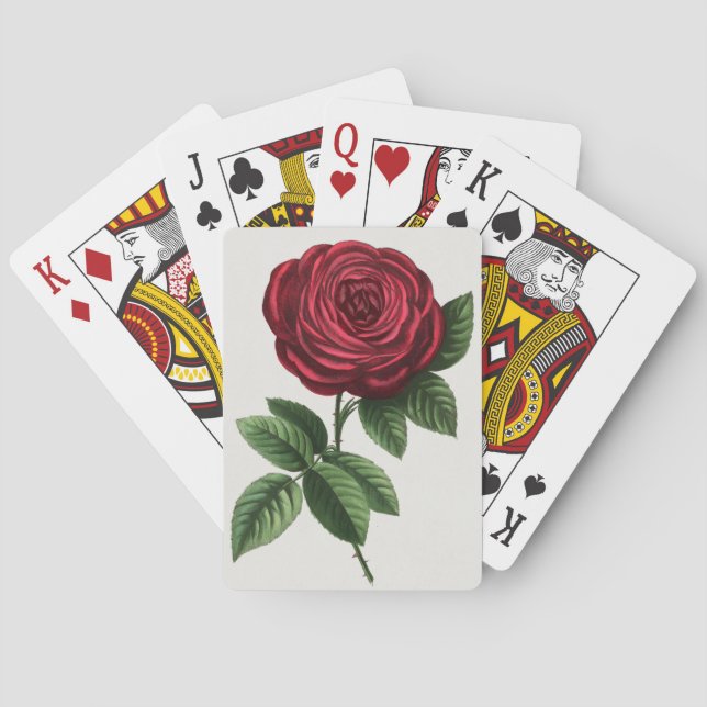 Jeu De Cartes Lithographie de rose antique, François-Frédéric Gr (dos)