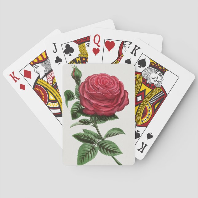 Jeu De Cartes Lithographie de rose antique, François-Frédéric Gr (dos)