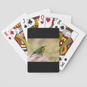 Jeu De Cartes Little Bee-Eater