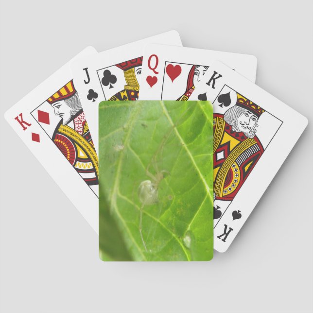 Jeu De Cartes Little Spider Jouer aux cartes (dos)