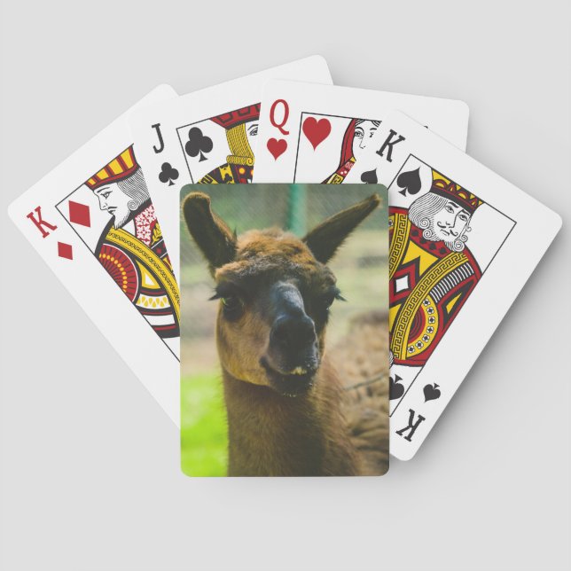 Jeu De Cartes Llama (dos)