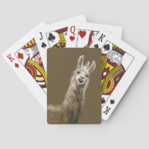 Llama jouer aux cartes