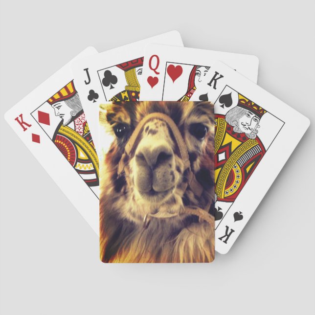 Jeu De Cartes Llama Players (dos)