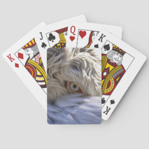 Jeu De Cartes L'oeil d'un pélican