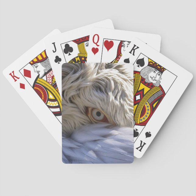 Jeu De Cartes L'oeil d'un pélican (dos)