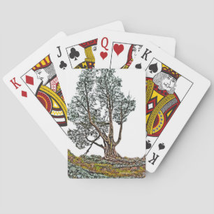 Jeu De Cartes Lonely Cypress