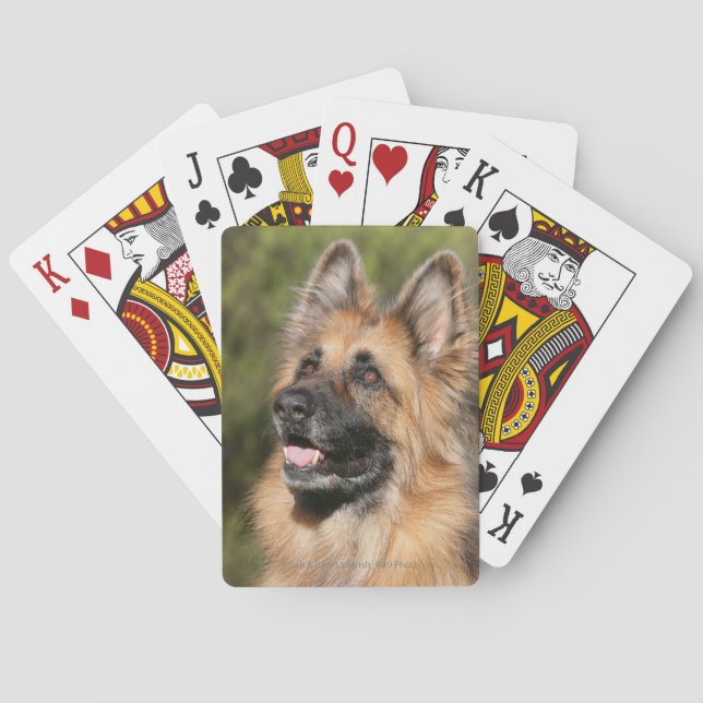 Jeu De Cartes Long Haired German Shepherd 1 (dos)