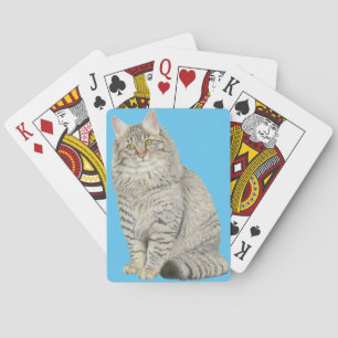 Jeu De Cartes Longhair Tabby Chat Vélos Jouer Cartes