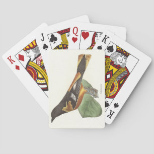 Jeu De Cartes L'Oriole d'Or ou de Baltimore (Icterus galbula)