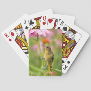 Jeu De Cartes Loriot de Baltimore