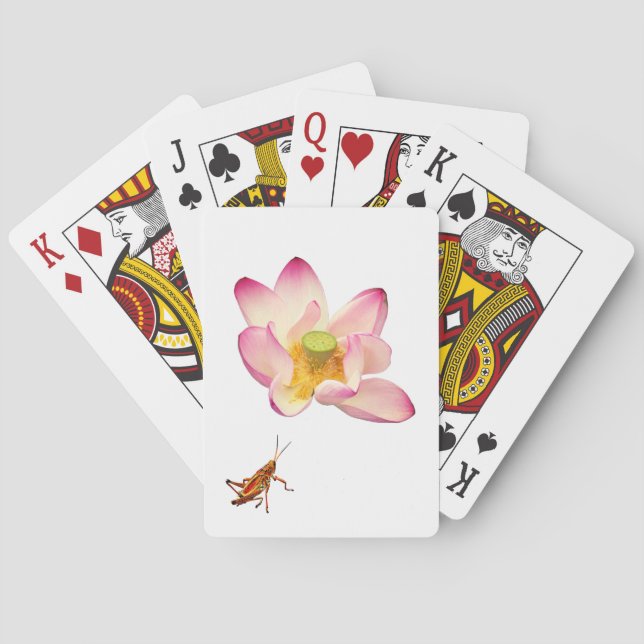 Jeu De Cartes Lotus et Grasshopper (dos)