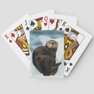 Jeu De Cartes Loutre de mer