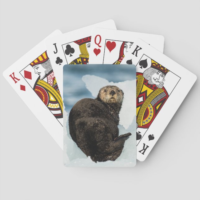 Jeu De Cartes Loutre de mer (dos)