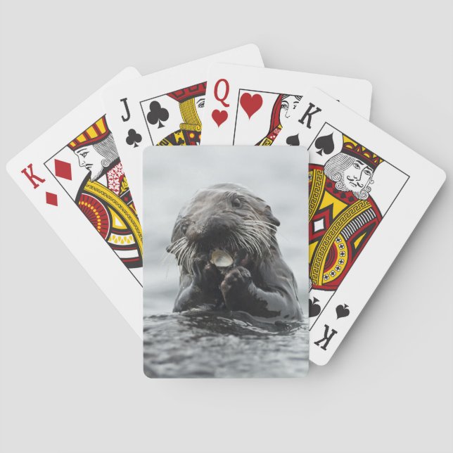 Jeu De Cartes Loutre de mer adorable (dos)