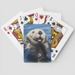 Jeu De Cartes Loutre de mer de Californie Enhydra lutris) se toi