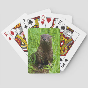 Jeu De Cartes Loutre de rivière intelligente