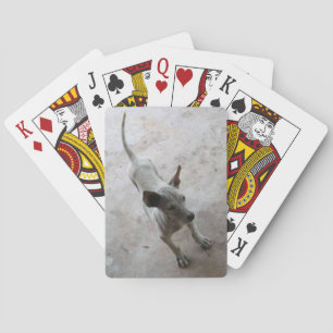 Jeu De Cartes Luk Maa ... Chien chiot thaïlandais Soi