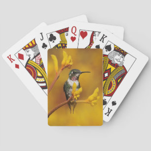 Jeu De Cartes Luminosité dorée