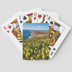 Jeu De Cartes Lupin jaune au-dessus de la plage de Point Reyes à