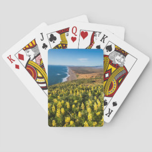 Jeu De Cartes Lupine Jaune Au-Dessus De Point Reyes Beach À Poin