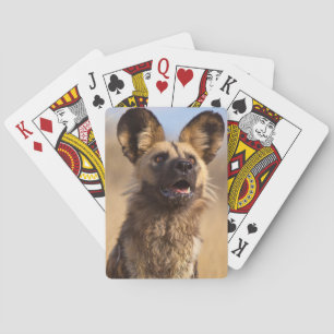 Jeu De Cartes Lycaon d'Afrique