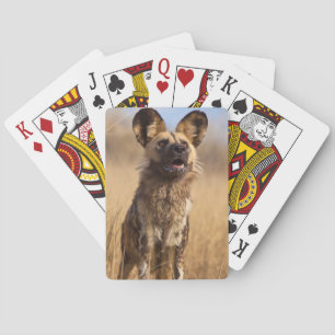 Jeu De Cartes Lycaon d'Afrique