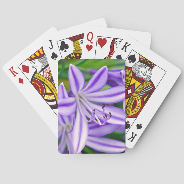Jeu De Cartes Lys africain exotique (dos)